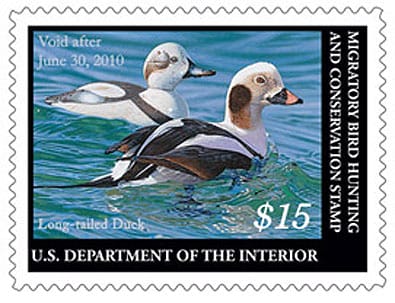 2009-2010 Federal Duck Stamp 