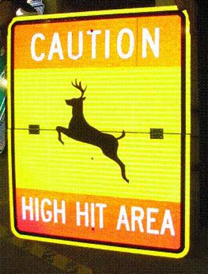 Caution High Hit Area Deer Sign