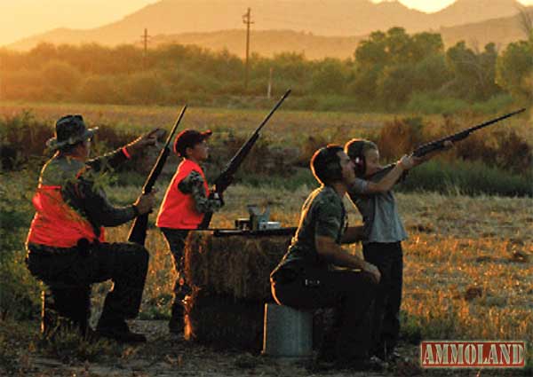 Arizona Dove Hunting