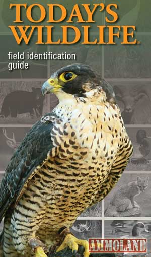Today’s Wildlife Field Identification Guide