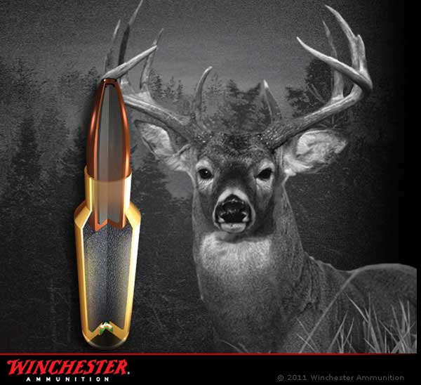 Winchester Introduces Power Max Bonded Ammunition just for Whitetails