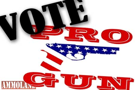 Vote Pro Gun