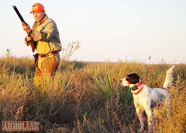 Bird Dog Hunting