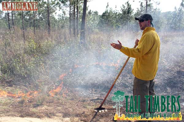 Tall Timbers’ project, Operation Outdoors,