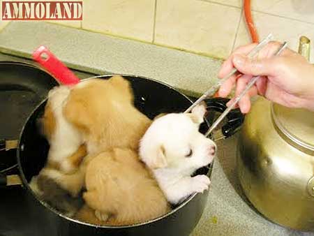 Food and Firearms better than a Bowl Full of Puppies. Bowl Full of Puppys