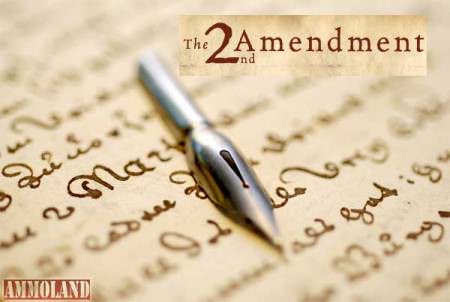 Second Amendment Letter Writing