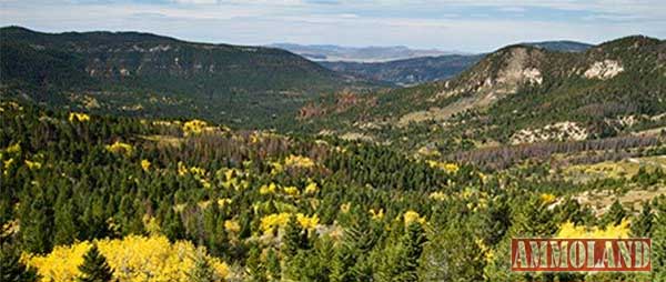 Montana Tenderfoot Creek