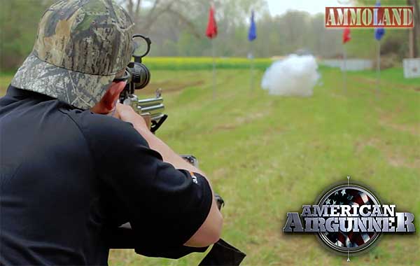 Airgun Shooting