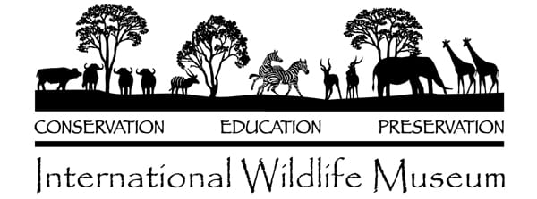 SCI to Celebrate 25th Anniversary of International Wildlife Museum