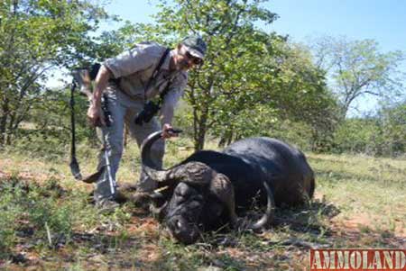 This Week on North American Hunter-TV: African Cape Buffalo