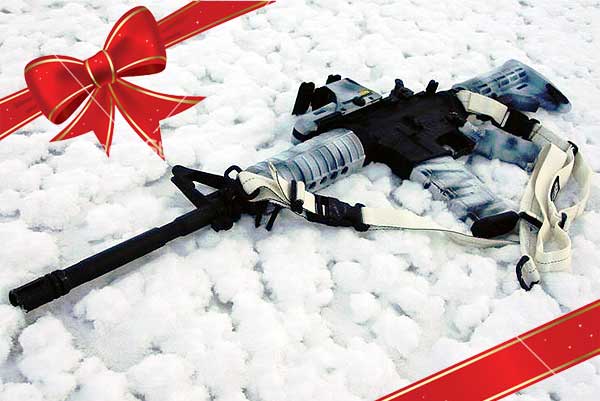 AR15 Rifle Snow Present