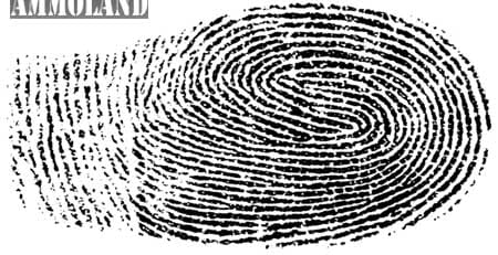 Fingerprints