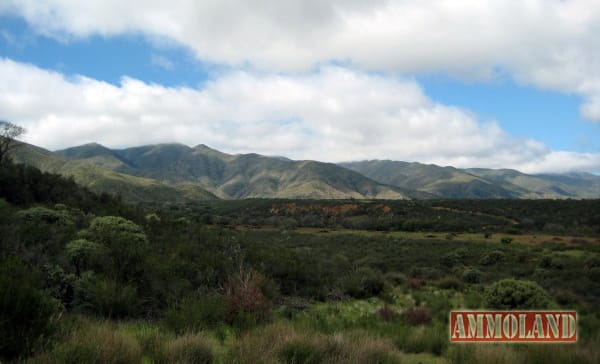 California Waterfowl Hunting