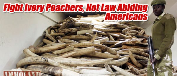 Fight Ivory Poachers, Not Law Abiding Americans