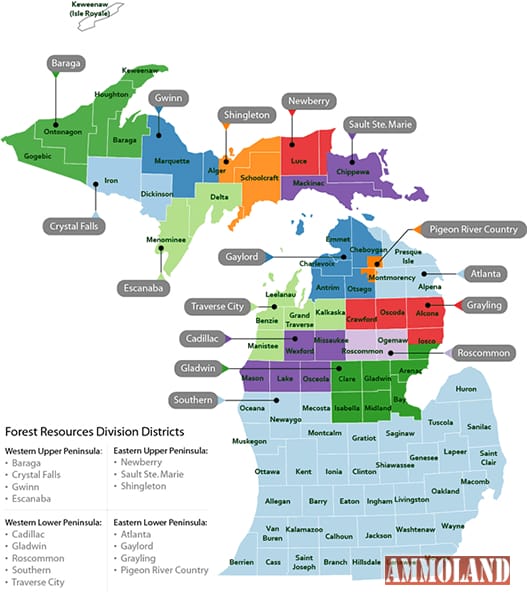 DNR Invites Public Input on Forest Plans for Michigan Counties