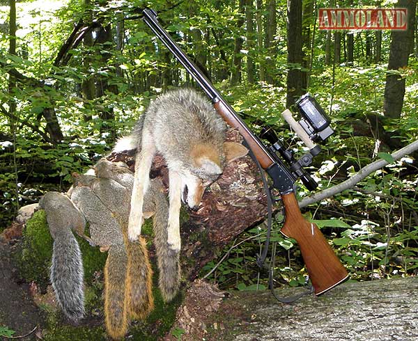 Coyote and Squirrel Hunting