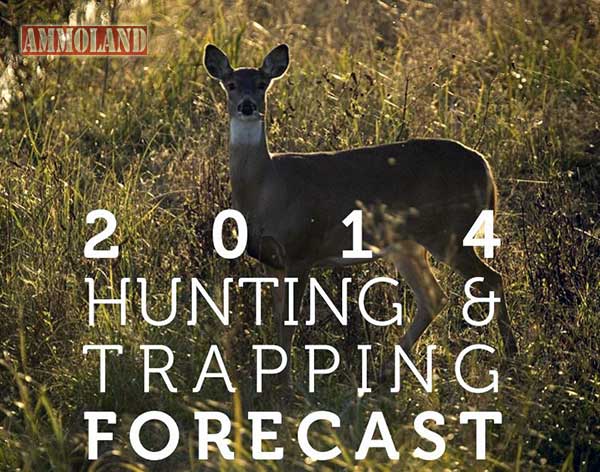 2014 Fall Hunting Oppurtunities