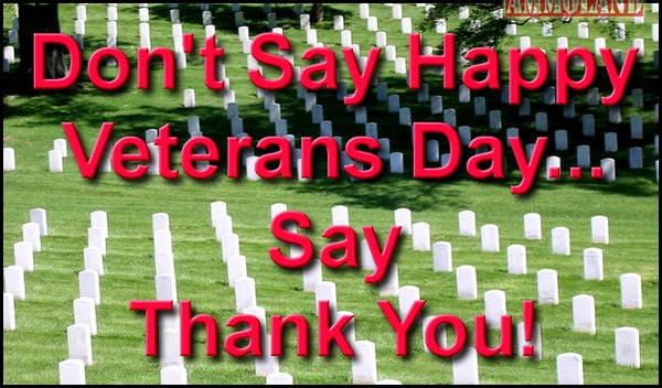 Say 'Thank You' on Veterans Day and Every Day