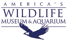 America's Wildlife Museum & Aquarium