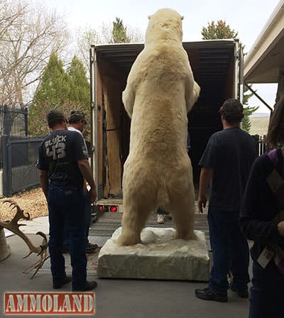 Photos of the Boone and Crockett Heads and Horns of America Collection heading to Missouri. Photos courtesy Buffalo Bill Center of the West