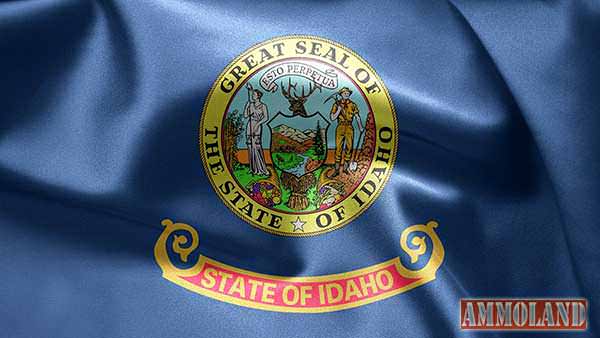 Idaho State Flag