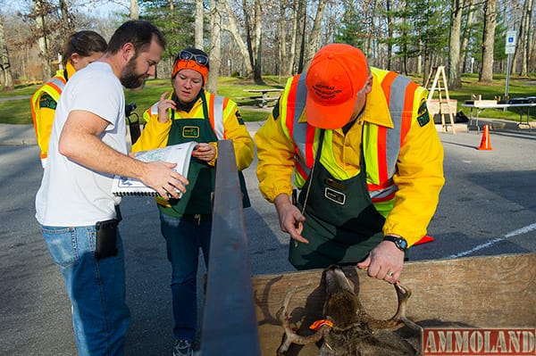 As Michigan Department of Natural Resources Wildlife Division worker Peter Kailing checks a buck, a hunter, left, talks about the location where he shot his buck with the DNR’s Caitlin Boon at a roadside park along U.S. 131 near Big Rapids.