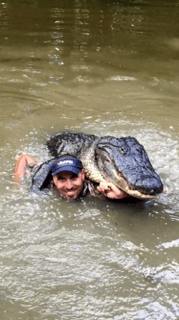 Billiot swimming with a live Alligator. It doesn’t mind.