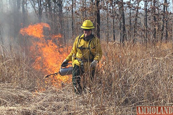 Prescribed Burns