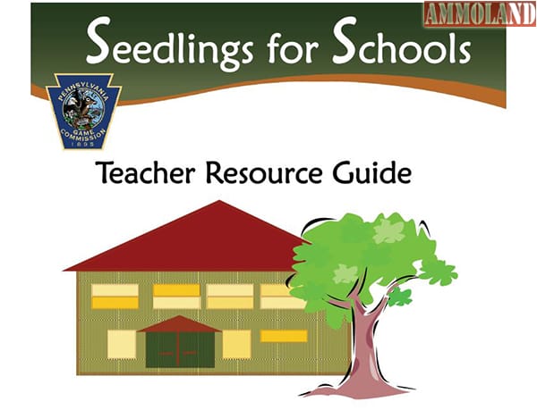 Seedlings for Schools Program