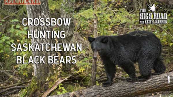 Crossbow Hunts for Black Bears This Week on The High Road