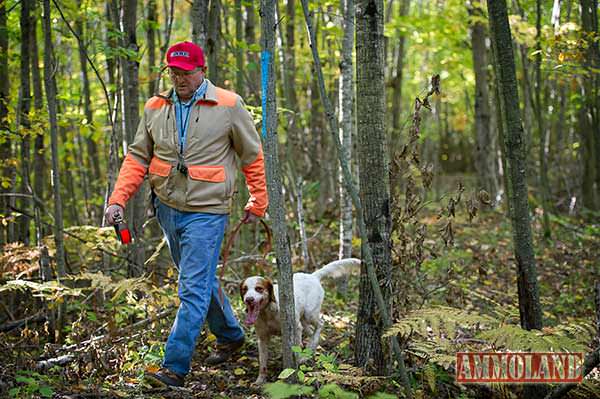 A field trial dog handler at the century-old Gladwin Field Trial Area.