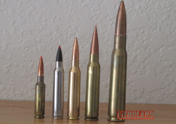 Top Five Long Range Cartridges - The Best of the Best