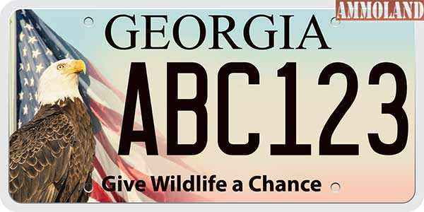 A redesigned plate featuring a bald eagle and the U.S. flag is now available through county tag offices, the state Department of Natural Resources announced today.