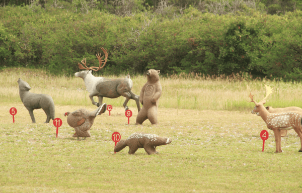 Just some of the targets to be auctioned.