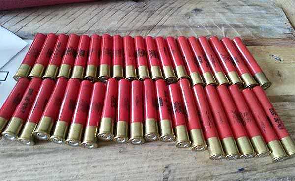 410 Shotgun Shells