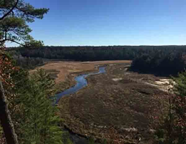 The DNR's Wildlife Habitat Grant program aims to improve game species habitat. The Grand Traverse Conservation District, a previous grant recipient, used grant funds for a project that provided food and habitat for wildlife by developing early successional forests, creating a small wetland and planting mast-producing trees in Grand Traverse County.