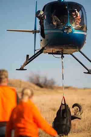 The helicopter arrives to the processing site south of Whitney with a bighorn sheep ram. (NEBRASKAland/Justin Haag)