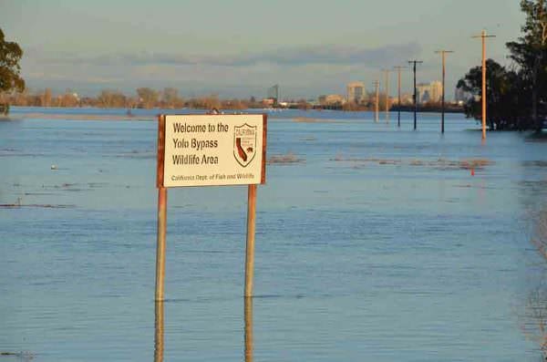 Flooding Limits Use of Wild Lands