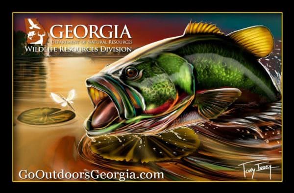 Georgia Department of Natural Resources Bass Art