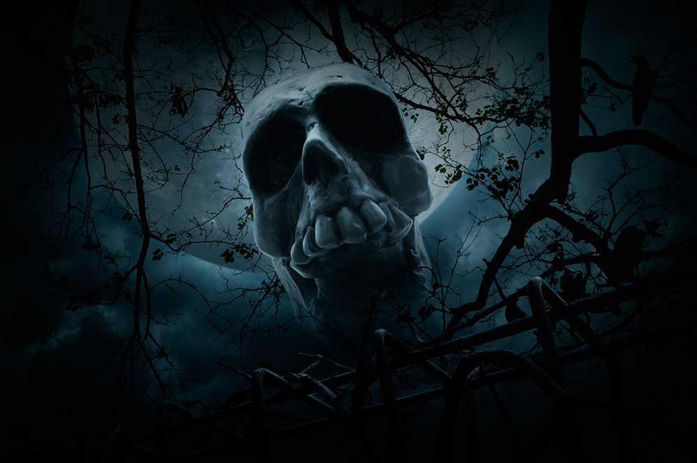 Scary Skull Shadow Evil scary skull iStock-grapestock 586921386.jpg