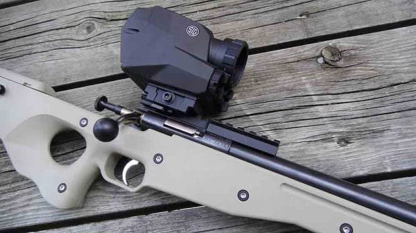 Crickett Precision Rifle with Sig Echo-1 Thermal Sight