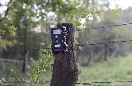 Wildgame Innovations' Improved Terra Series Scouting Cameras offer enhanced features and compact reliability at astonishingly low, hunter-friendly prices