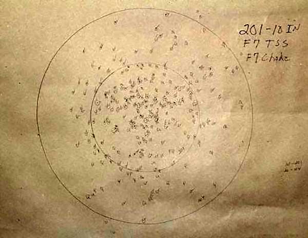 Pellet count in 10 in circle of pattern 2=201