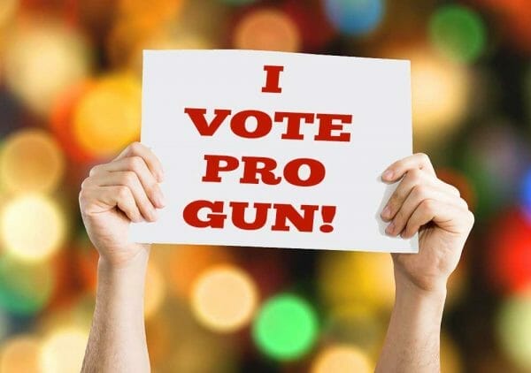 I Vote Pro Gun