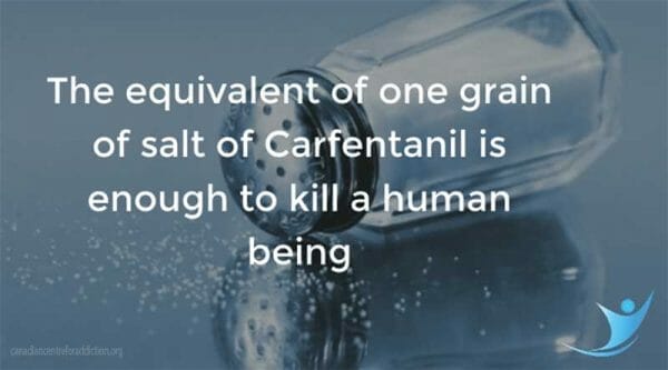 Carfentanil 