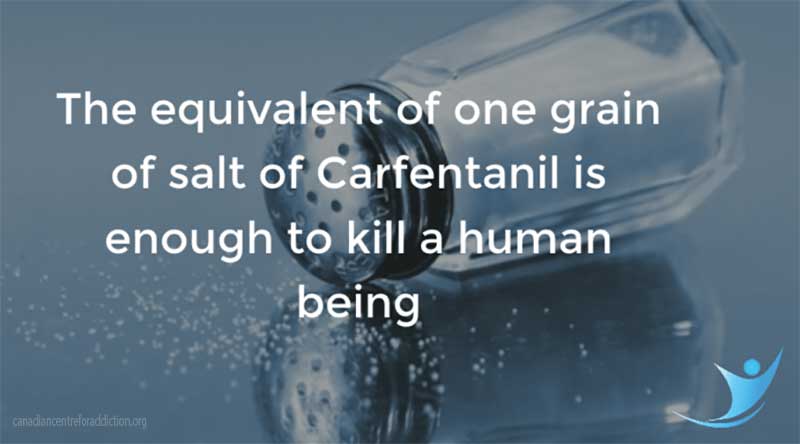 Carfentanil