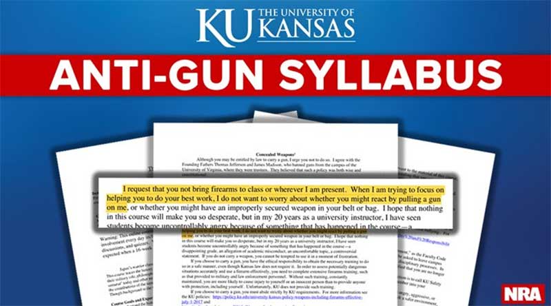 anti-gun syllabus