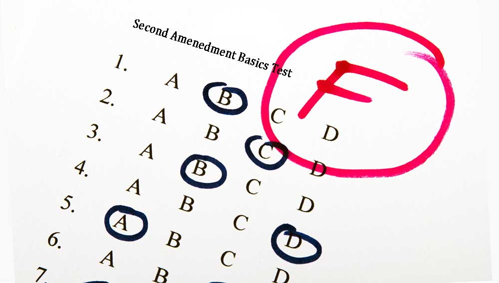 Second Amendment Grades Test Score Ratings