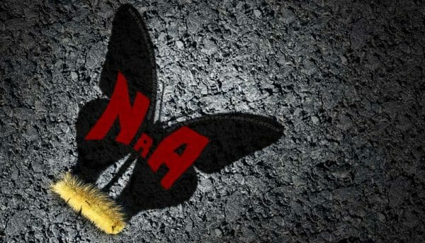 National Rifle Association Butterfly