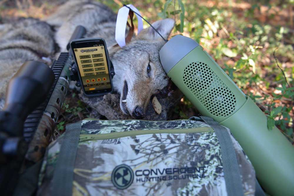 Three Hot Tips for Calling in More Coyotes